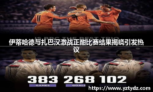 333体育官网